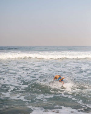 Rama Board Shorts / Indigo
