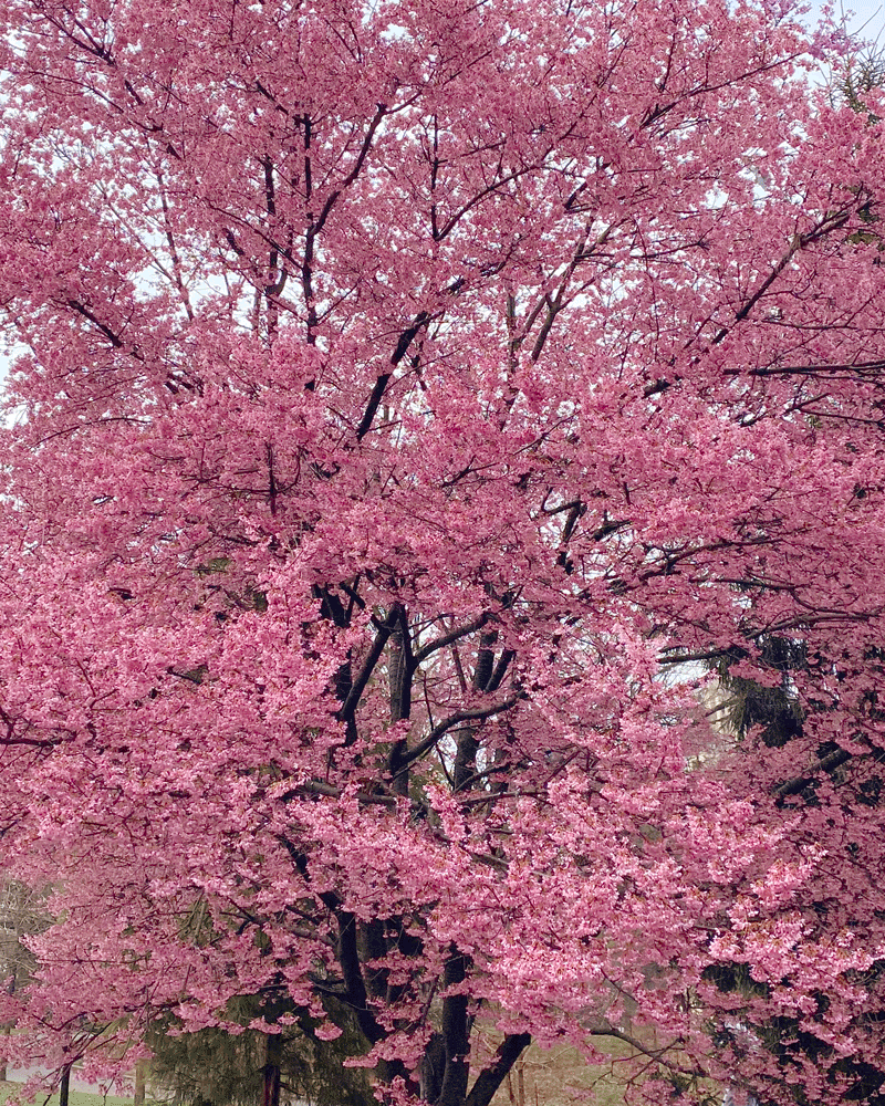 The Magic of Ordinary Things