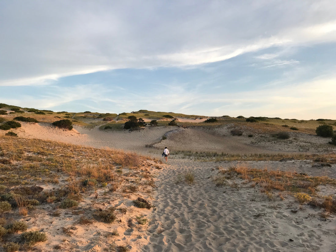 The Dunes