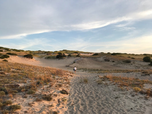The Dunes