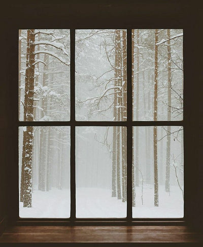 Snow Outside Your Window