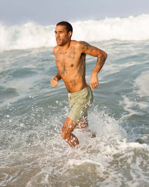 Rama Board Shorts / Moss