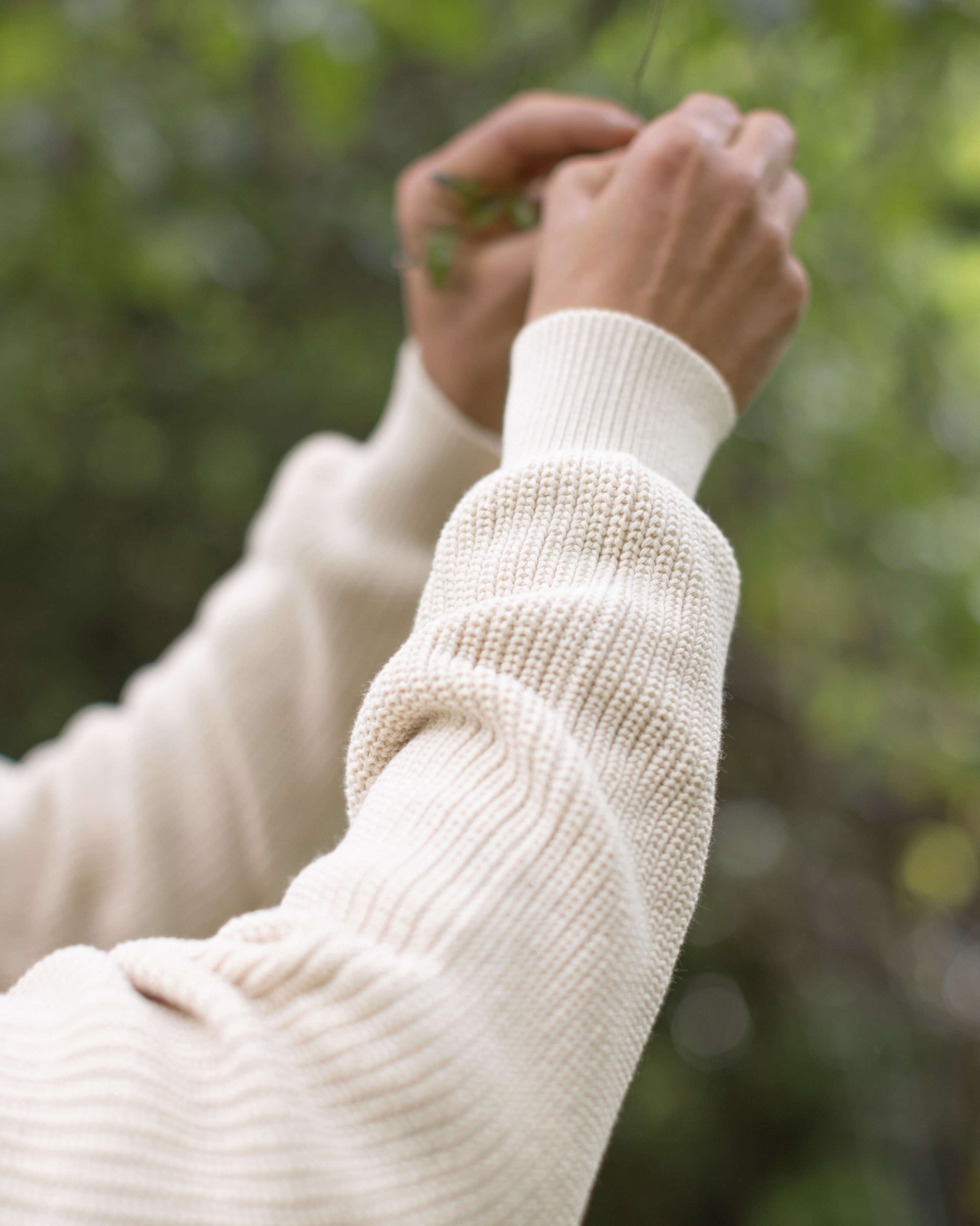 Bay Organic Cotton Chunky Knit Sweater / Cream Off White