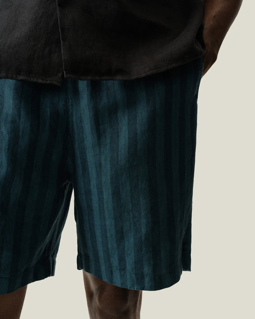 Bo Shorts / Big Wave Dusk