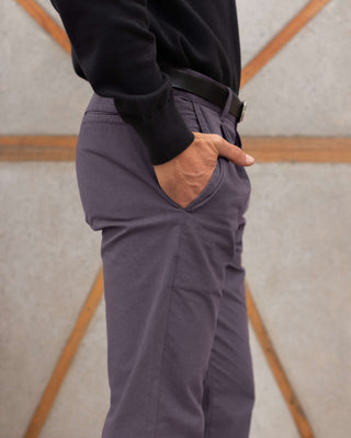 Organic Cotton Alta Pleated Trousers / Purple Grey Ash