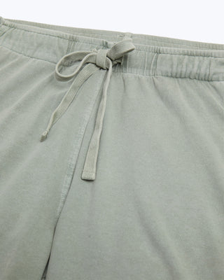Featherweight Caza Knit Shorts / Riverstone