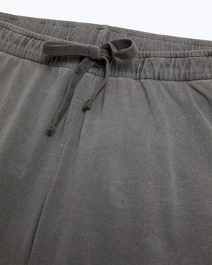 Featherweight Caza Knit Shorts / Slate