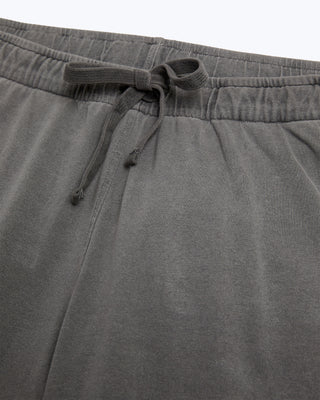 Featherweight Caza Knit Shorts / Slate