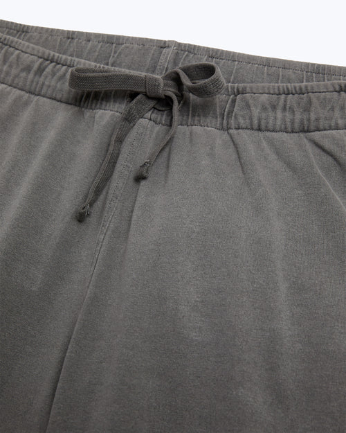 Featherweight Caza Knit Shorts / Slate