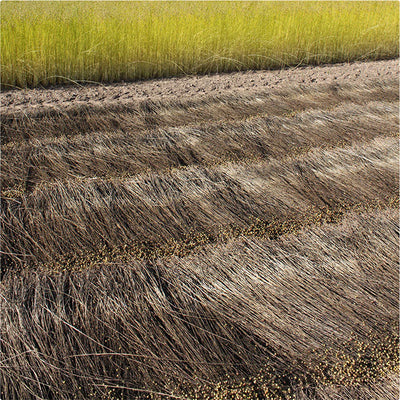 Natural Materials Biodegrade