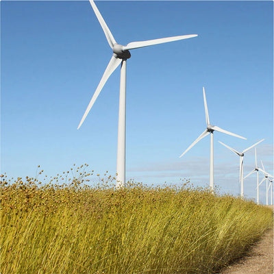 Natural Materials Are Renewable